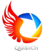 Quidich